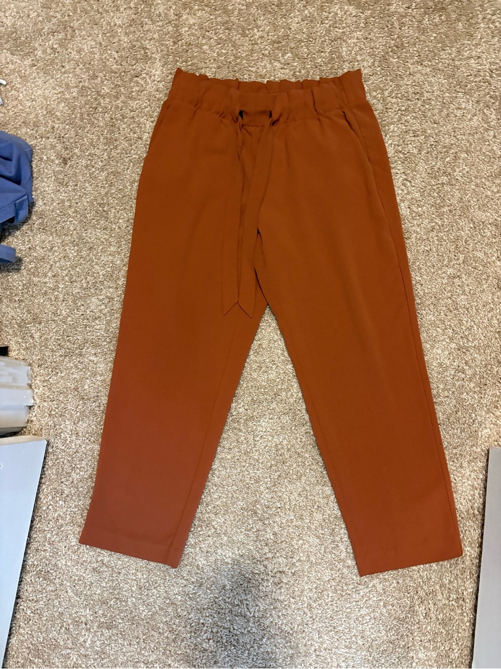 Loft Dress Pants